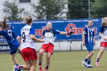 Bild 171 - wBJ Hamburger SV - FC Suederelbe : Ergebnis: 9:0